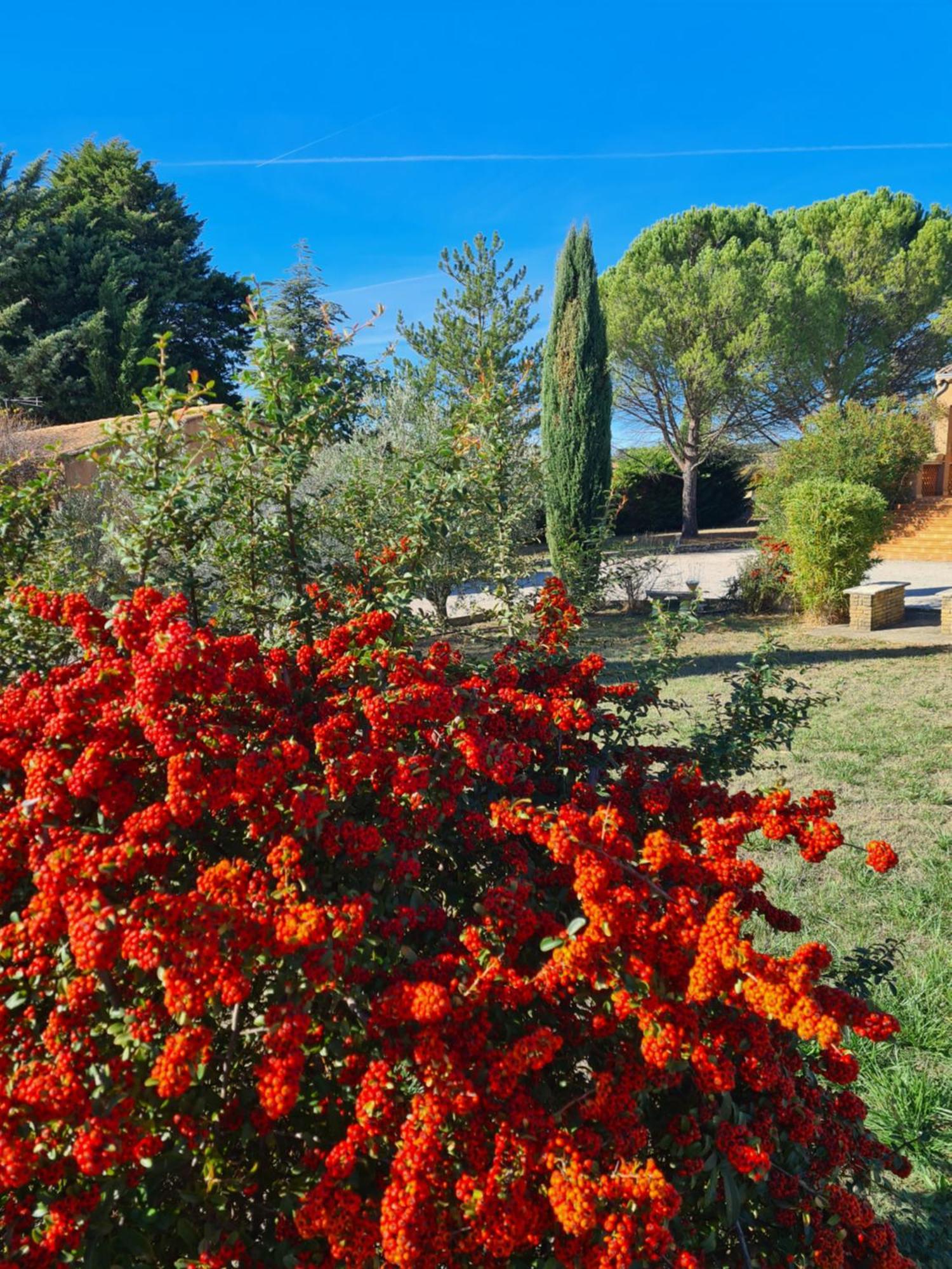 Family First Villa Gargas  Exterior photo